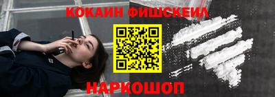 крисы Новозыбков