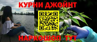 крисы Новозыбков
