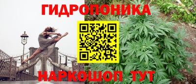 крисы Новозыбков