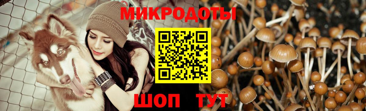 Симферополь  Галлюциногенные грибы мицелий  Вход с VPN 